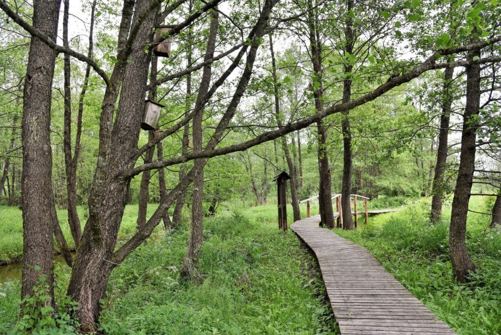 Gaujos mokomasis takas / Nuotraukos šaltinis salcininkai.lt