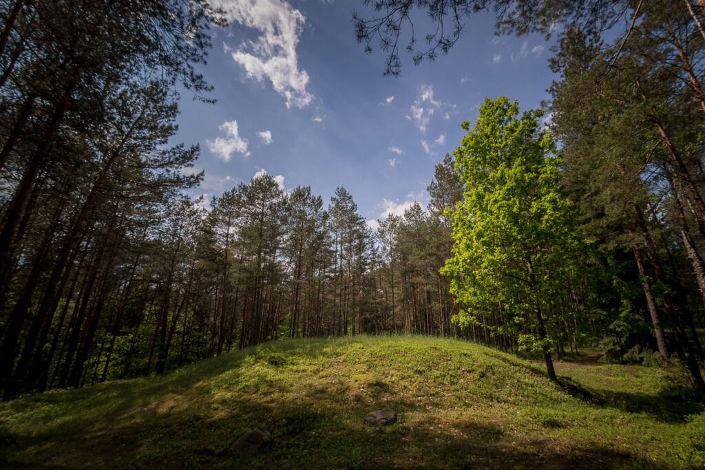 Poškonių pilkapynas / Nuotraukos šaltinis salcininkai.lt
