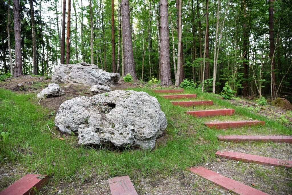 Stakų konglomeratų luistai / Nuotraukos šaltinis salcininkai.lt